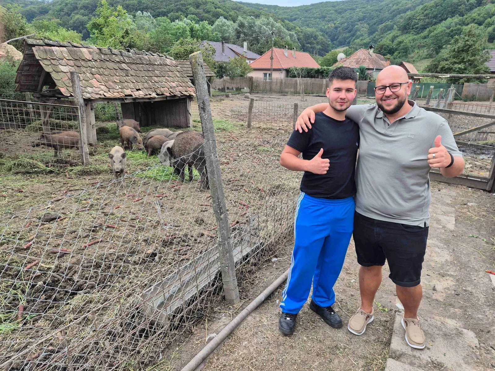 Wildschweine